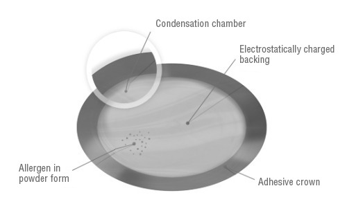 The Viaskin platform is aimed at a number of different allergies